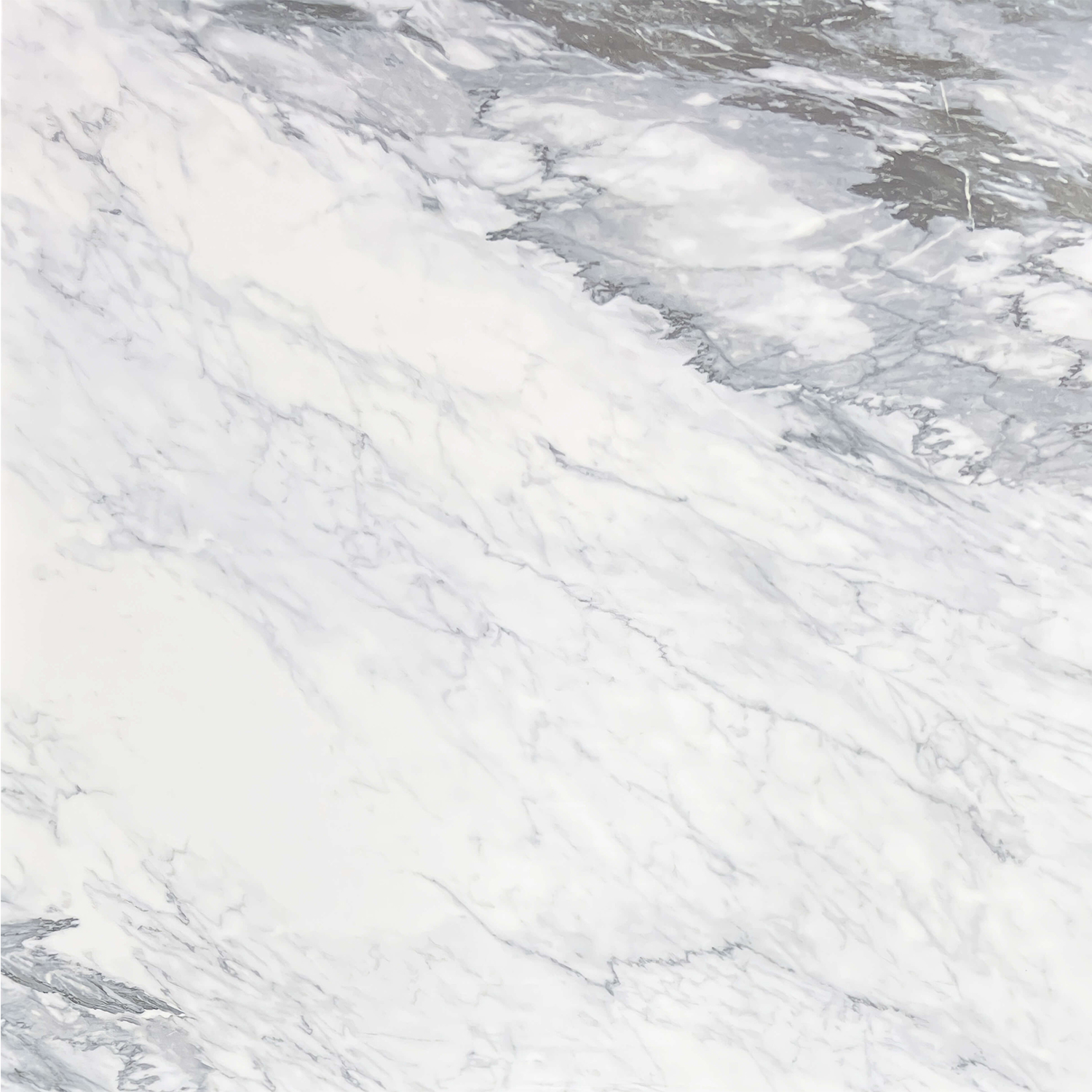 Floorest Bianco Carrera Marble 24 x 24 16 SF/Box - CT22004 - JZY364PA