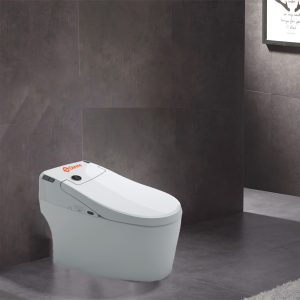 Toilettes SMART une pièce DuReno T0078-1