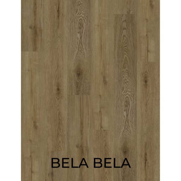 1079 Bela Bela