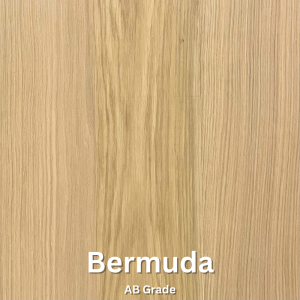 BERMUDA-01727977908.png
