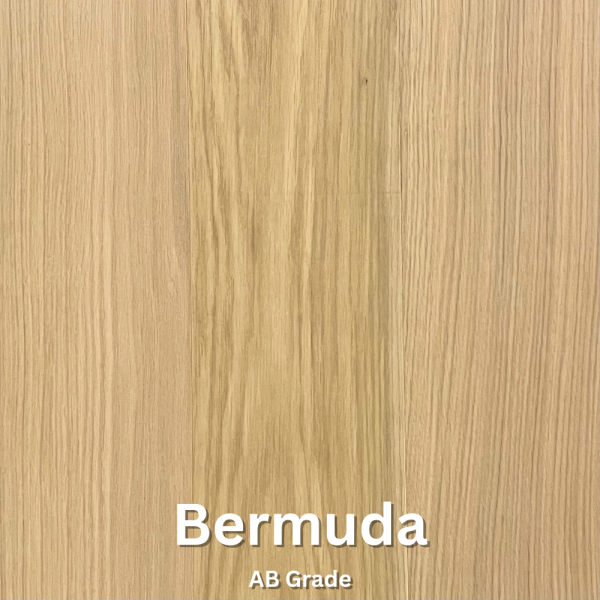 BERMUDA-01727977908.png