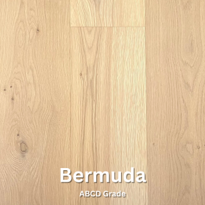 BermudaABCD-01737990077.png
