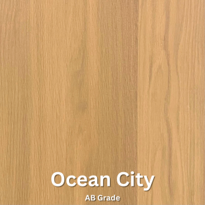 Ocean20City-01727978798.png