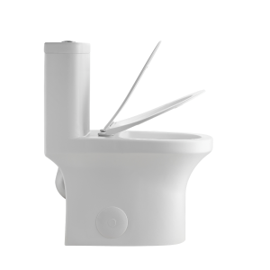 T202MW-21728494280.png