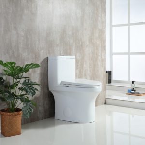 T202W-01713380015.jpg
