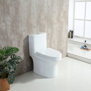 T202W-11713380015.jpg