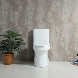 T202W-31713380015.jpg
