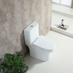 T202W-51713380015.jpg