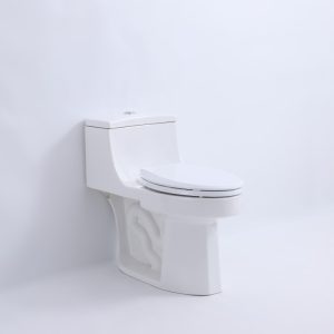 T205W-01713380054.jpg