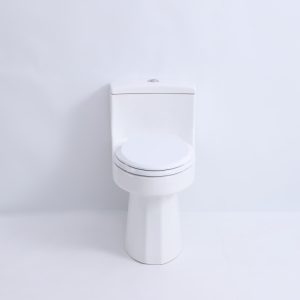 T205W-51713380054.jpg