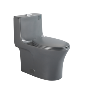 Dureno - Toilette monopièce gris foncé (4,8 L-6 L / 1,1 gal-1,6 gal) - T206DG