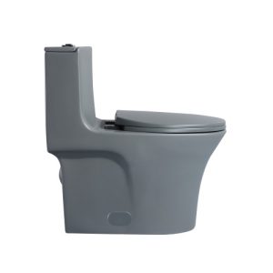 T206DG-11713285550.jpg