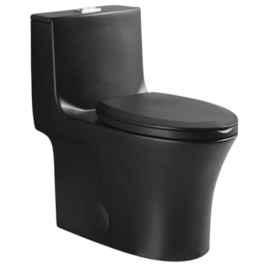 Dureno - Toilette monobloc noir mat (4,8 L-6 L / 1,1 gal-1,6 gal) - T206MB