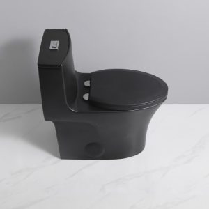 T206MB-21713380091.jpg