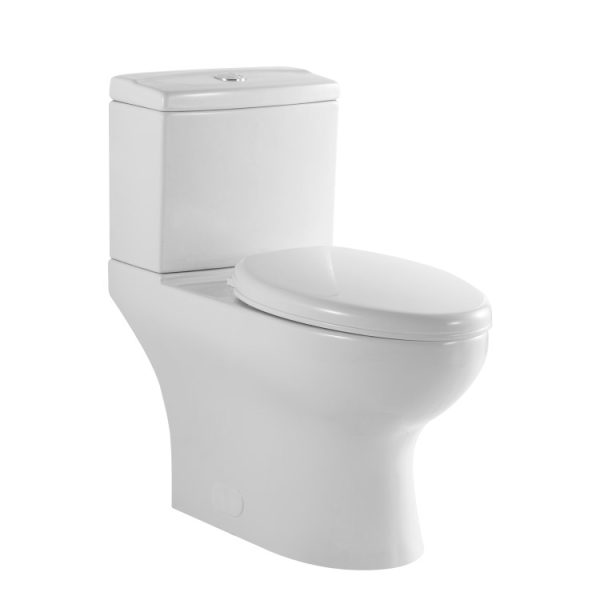 T208W-01723653607.jpg