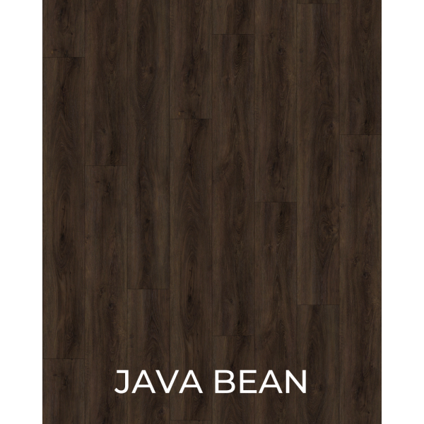 V1001 Java Bean