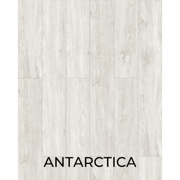 V1010 Antarctica