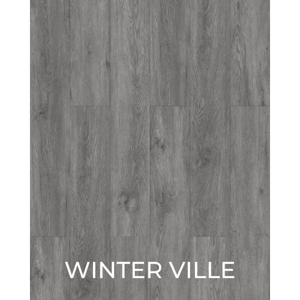 V1016 Winter Ville