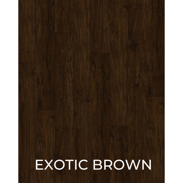 V1019 Exotic Brown