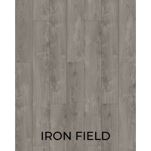 V1042 Iron Field