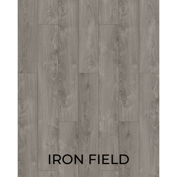 V1042 Iron Field