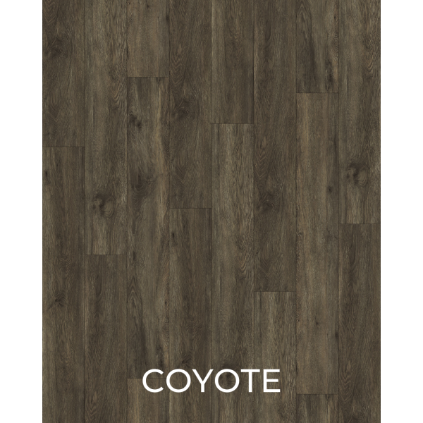V1049 Coyote