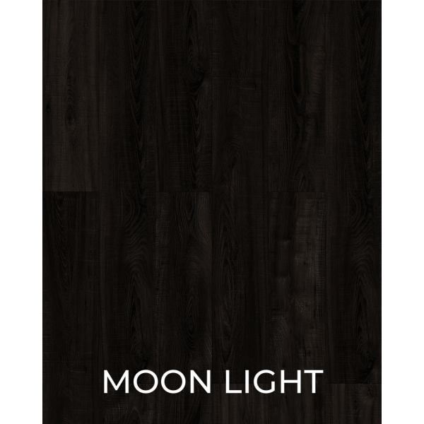 V1055 Moon Light