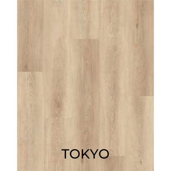V1066 Tokyo