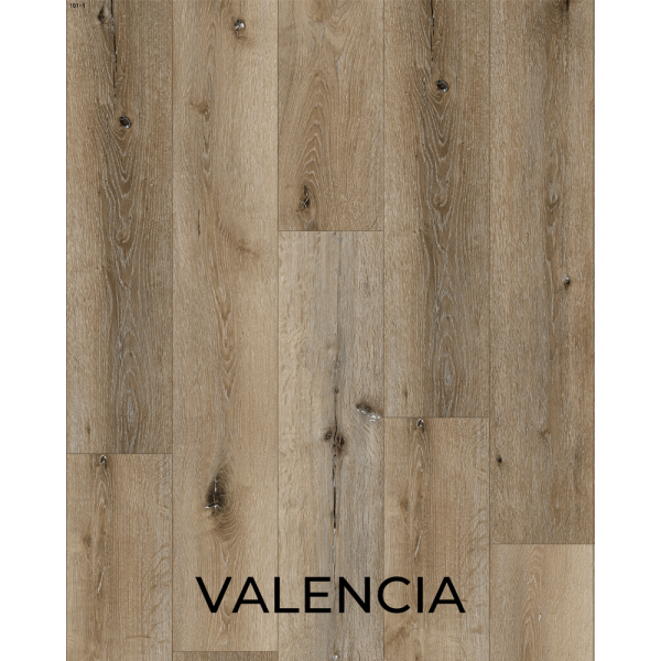 V1067 Valencia