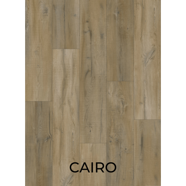 V2003 Cairo
