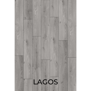 V2006 Lagos