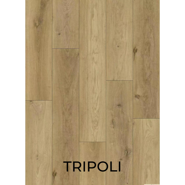 V2009 Tripoli