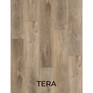 V2010 Tera