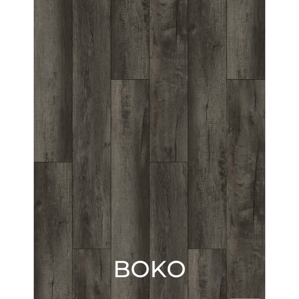 V2014 Boko
