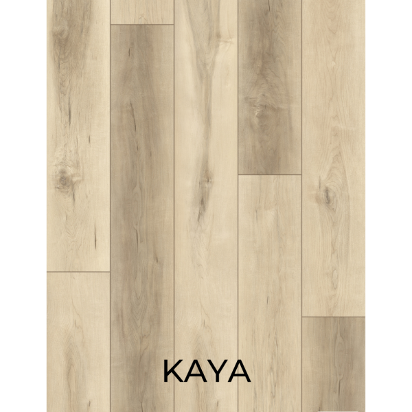 V2016 Kaya