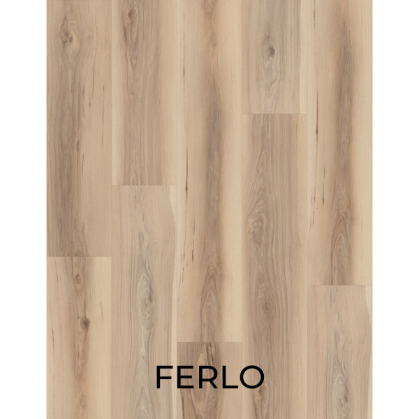 V2019 Ferlo
