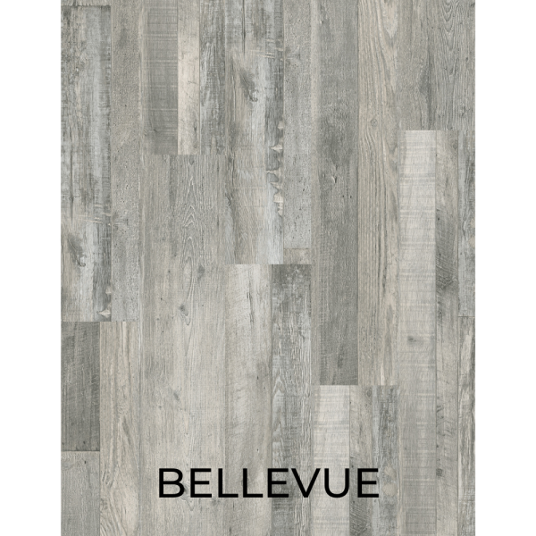 V2040 - BELLEVUE