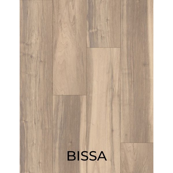 V2057 - BISSA