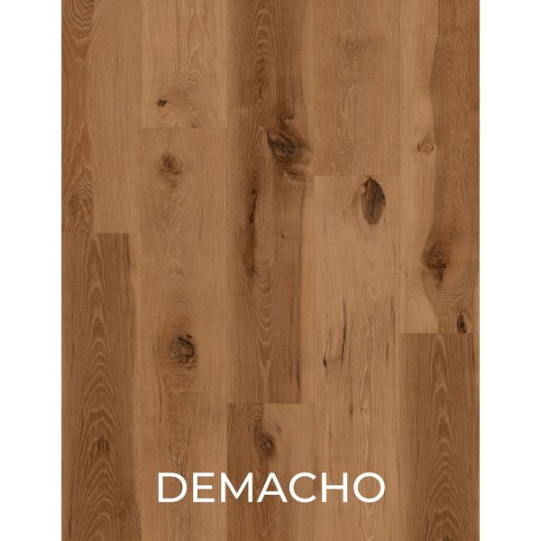 V2077 - DEMACHO