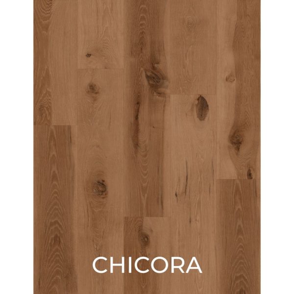 V2078 - CHICORA