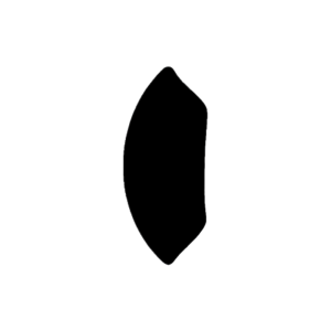 5560-11719592539.png