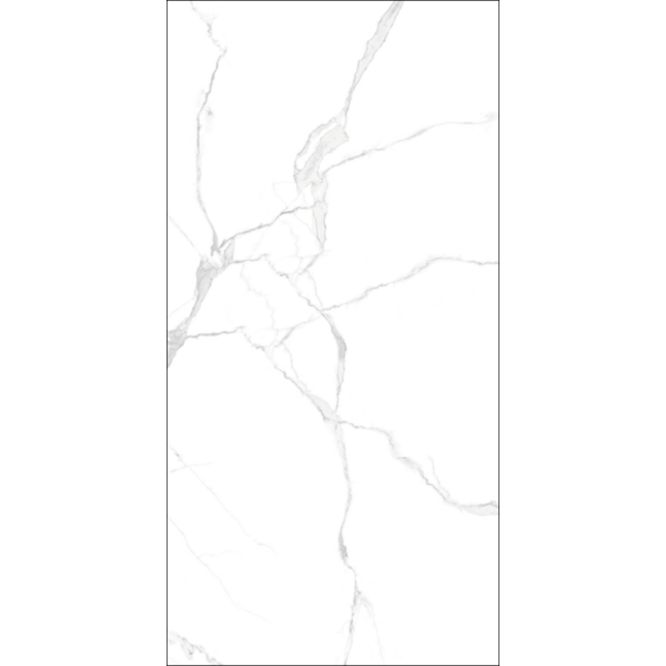 CT12016-01720202805