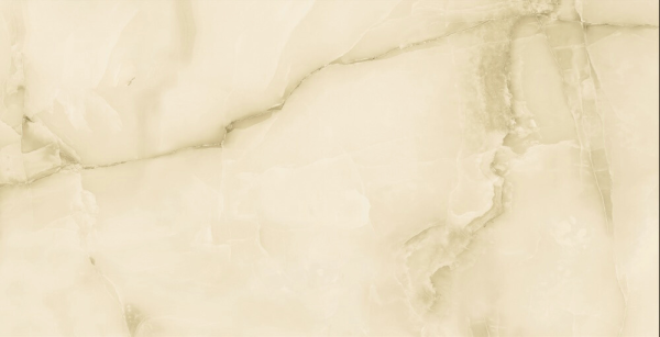 CT24026-01719001572