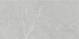 Carreau de porcelaine Floorest - Silver Grey