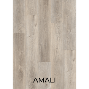 V3001 AMALI