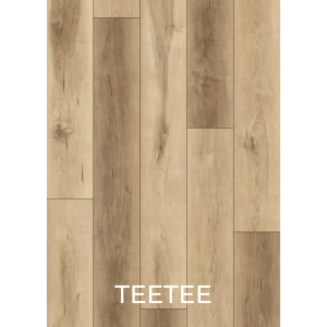 V3009 TEETEE