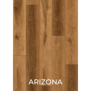V3010 ARIZONA