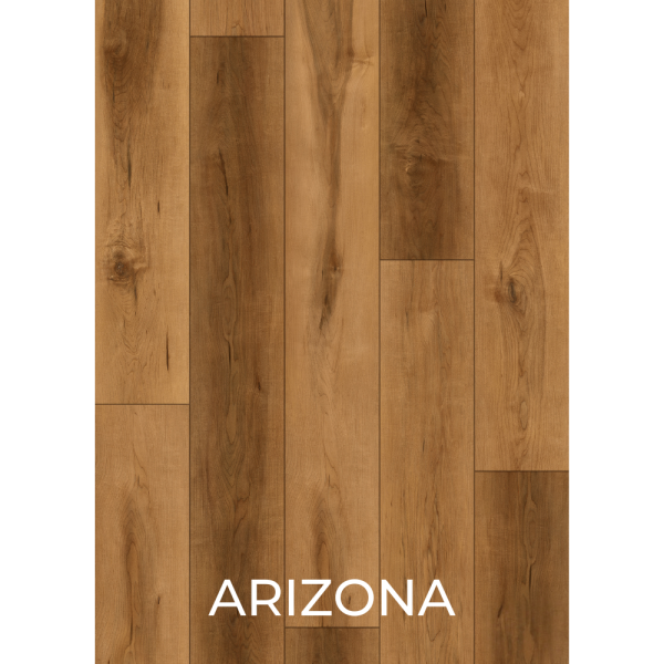 V3010 ARIZONA