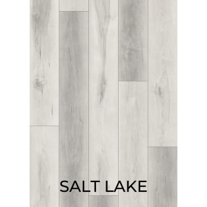 V3011 SALT LAKE