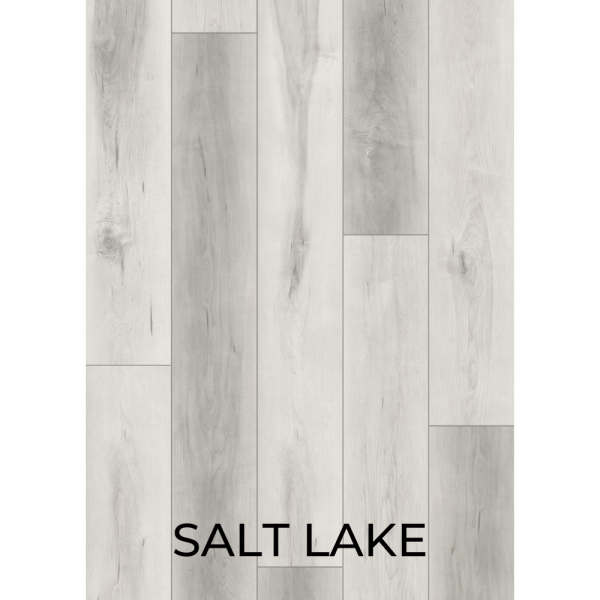 V3011 SALT LAKE